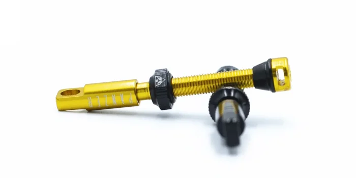 PANZER-VLV-gold-black-hole